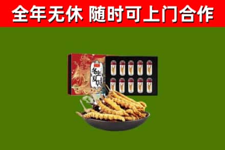 涪城区回收冬虫夏草价格