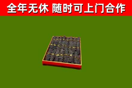 涪城区回收海参